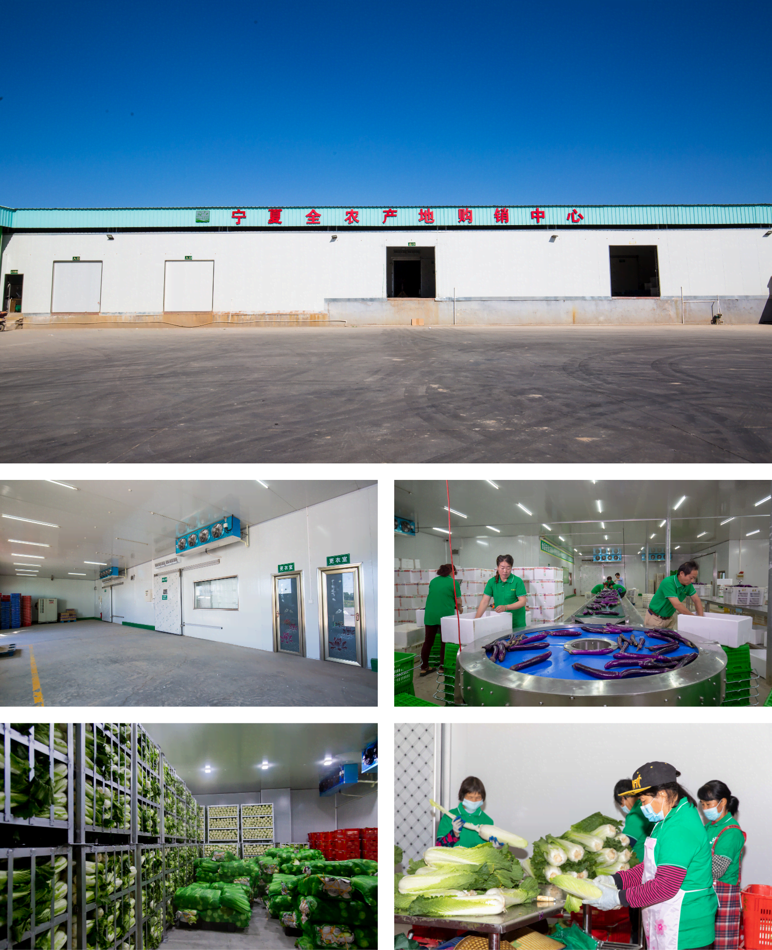 pg电子模拟器(中国)官方网站